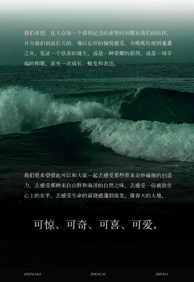 传世臻-黛蓝_03.jpg
