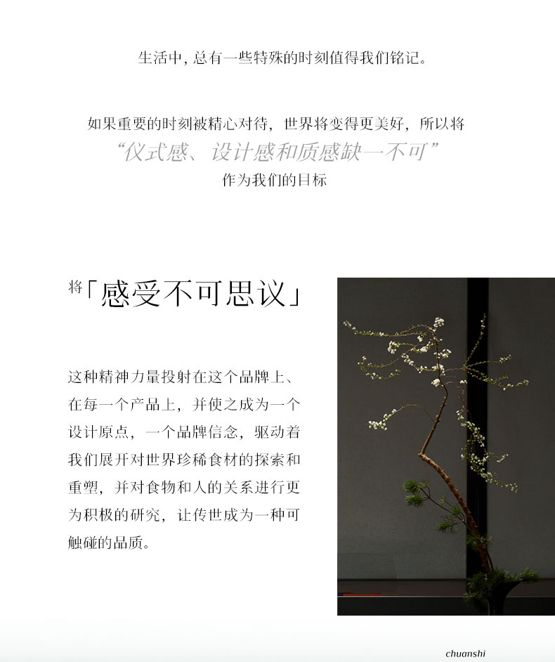 传世臻-黛蓝_02.jpg