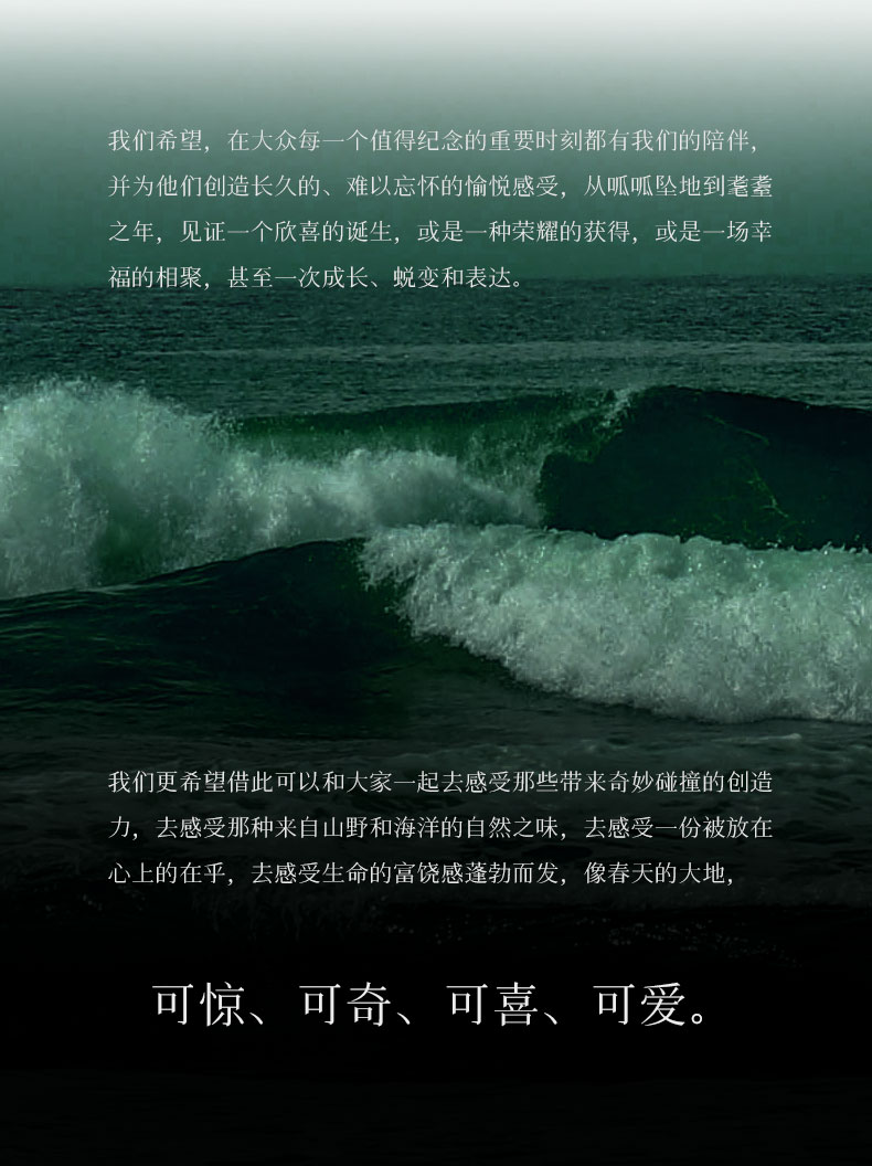 传世臻-盛世_03.jpg