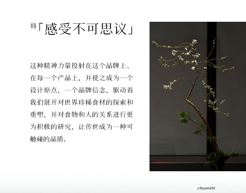 传世臻-芳华_02.jpg